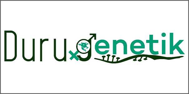 Duru Genetik